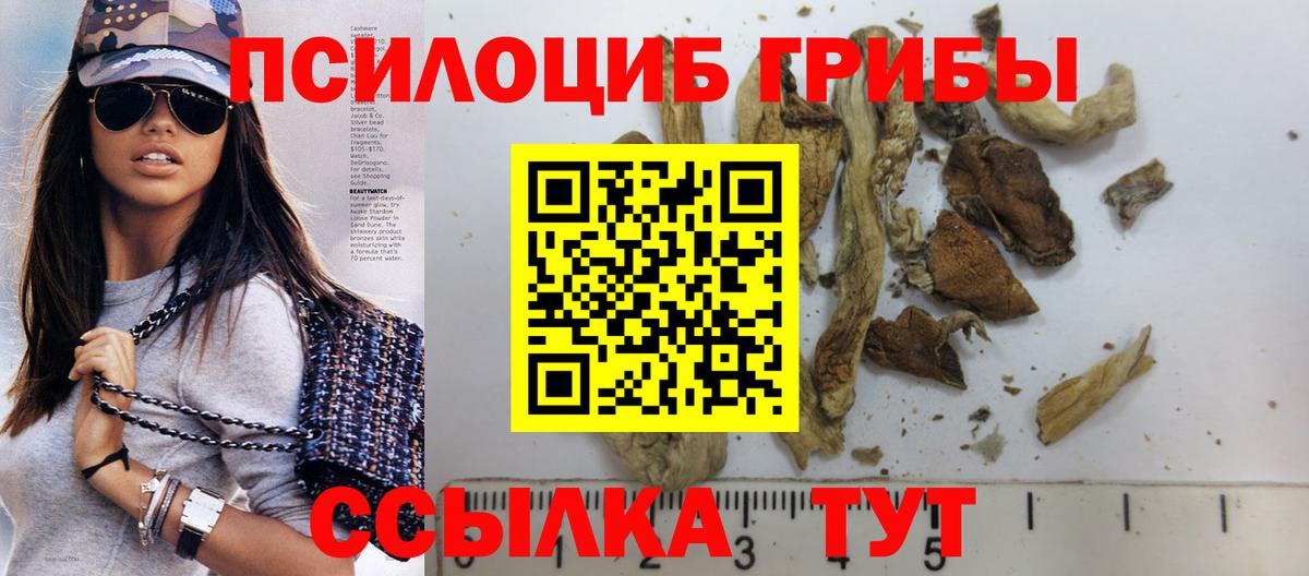 Галлюциногенные грибы мицелий Малоярославец