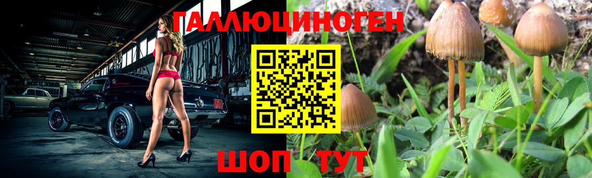 Псилоцибиновые грибы MAGIC MUSHROOMS  Вход с VPN  продажа наркотиков  Псилоцибиновые грибы Psilocybe  Малоярославец 